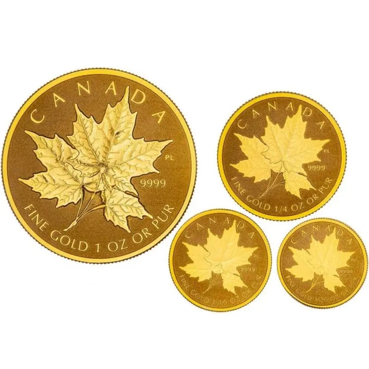 Canadian Maple Leaf: Pure Gold Fractional Set of 4 coins Gold 2014 Reverse Proof