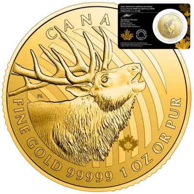 1 oz Gold Coin - Call of the Wild - Elk - Bullion - 2017