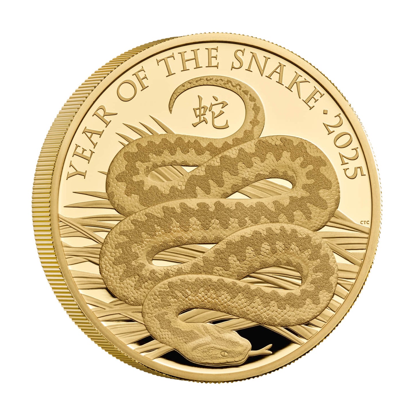 2025 5oz Great Britain Lunar Year of Snake .9999 Gold Proof Coin