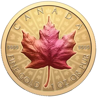1 oz Gold Coin - Maple Leaf - Vivid Toning - Ultra High Relief - 2026